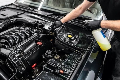 Engine Cleaning